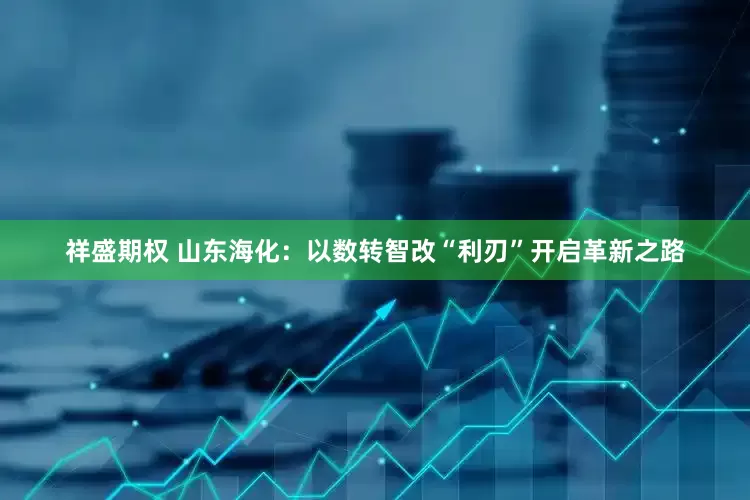 祥盛期权 山东海化：以数转智改“利刃”开启革新之路