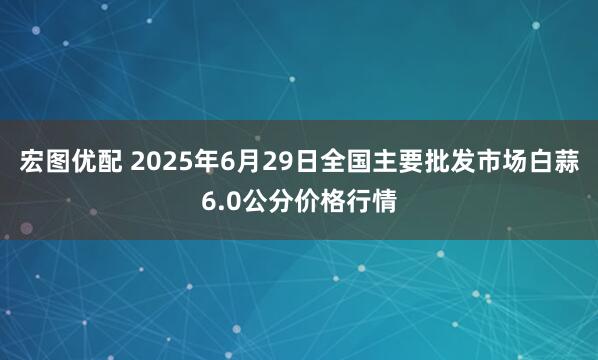 宏图优配 2025年6月29日全国主要批发市场白蒜6.0公分价格行情