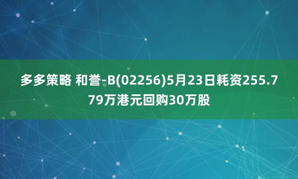 多多策略 和誉-B(02256)5月23日耗资255.779万港元回购30万股